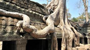 Kambodzsa: A Nagy Khmer Birodalom szilánkjai az óceán partján Önhajtó Kambodzsa
