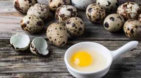 Perché molte uova di gallina sognano?