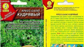 Potočarka - Uzgoj vitaminskog zelenila tijekom cijele godine