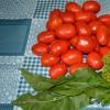 Резаные томаты в собственном соку на зиму Помидоры в собственном соку дольками без уксуса