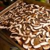 How to cook fresh porcini mushrooms correctly and tasty (will appeal even to those who do not eat them)