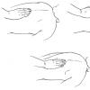 Unique Japanese treatment method - Shiatsu massage