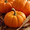Pumpkin Puree Soup: Health Benefits, Diet Recipes