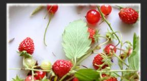 How to properly dry greens, herbs, fruits, vegetables in the air and in the microwave