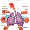 A tüdő tüdőtágulása - az elsődleges és a másodlagos tünetek, a betegség kialakulásának mechanizmusa és a röntgen jelei