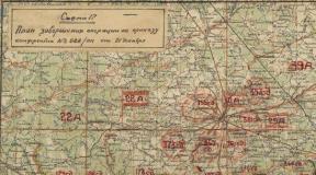 Hadtörténet, fegyverek, régi és katonai térképek A Kalinin offenzív hadművelet befejezése