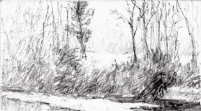 How to draw a forest with a pencil step by step
