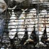 Mackerel baked in foil on the grill: the best recipes for a picnic