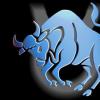 Horoscope: characteristics of the zodiac sign Taurus