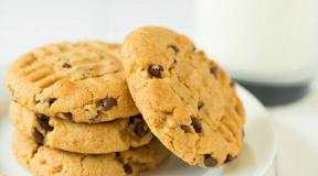 Quick cookies in the oven - the simplest and fastest homemade recipes