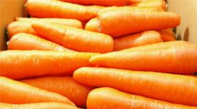 Морковный сок: польза и вред для печени