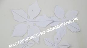 Kā pagatavot poinsettia no foamiran