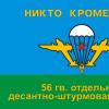 The difference between the DShB and the Airborne Forces: their history and composition