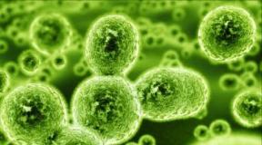 Probiotikumok antibiotikumok szedésekor: megelőzés, dysbiosis kezelése