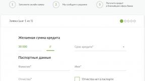 Fogyasztói hitel az Orosz Standard Banktól: feltételek, típusok