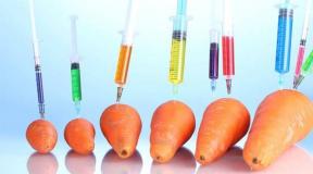 Why is genetically modified food dangerous?