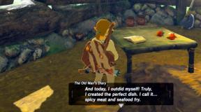 The Legend of Zelda: Breath of the Wild guide: tips and secrets - clothes, weapons, guards, shrines and treasures