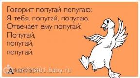 Funny jokes This difficult Russian language is funny