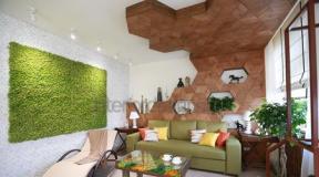 Eco-style in the interior: history, photos, tips Living room eco 1