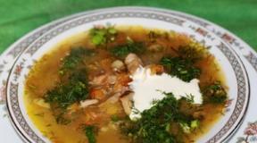 Kako napraviti juhu od kiselog kupusa sa i bez mesa: recepti sa fotografijama