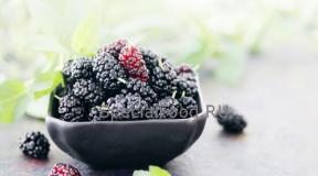 What to cook from mulberries?