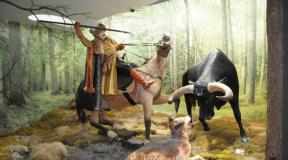 Extinct ancient animal wild tour - the ancestor of cows and bulls