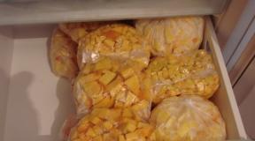 Ways to freeze pumpkin at home If pumpkin is frozen, does it lose vitamins