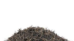 The use of pine needles in folk medicine Tea from pine branches