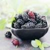 What to cook from mulberries?