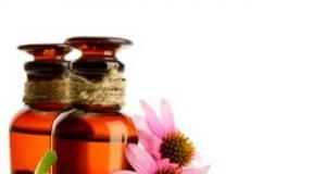 Echinacea tincture - useful properties and application features