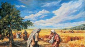 Gyermekbiblia: Újszövetség – Példabeszéd a gazdag emberről, Példabeszéd a gazdag emberről és Lázárról, Példabeszéd az elveszett bárányról