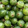 Simple recipes for gooseberry jam for the winter: royal emerald, five-minute, with orange and others Making gooseberry jam without cooking