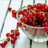 Redcurrant jam for the winter without cooking