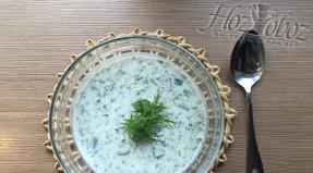Spring protection of garden plants from pests and diseases Tarator soup on kefir with cucumber