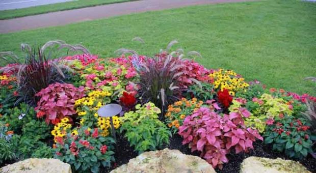 “Summer” flower beds: principles of creation, options in the photo